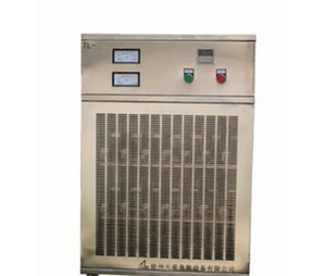 l高品質 【直銷】 優(yōu)質 小型臭氧發(fā)生器 廢氣處理廠家