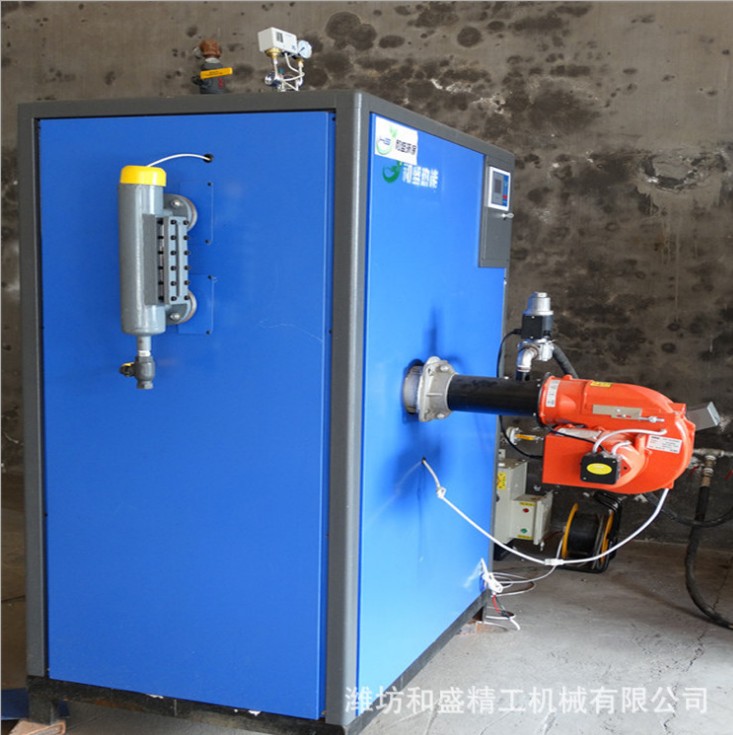 和盛燃?xì)忮仩t 蒸汽發(fā)生器 全自動(dòng)立式燃?xì)庹羝仩t 小型蒸汽發(fā)生器