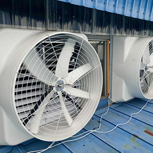 批發 冷風機 冷風機廠家