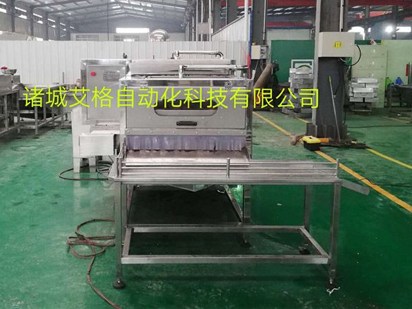 雞蛋剝殼機(jī) 雞蛋剝殼機(jī)廠家直銷