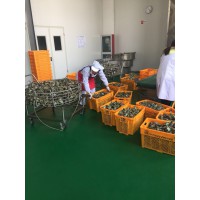 殺菌鍋，殺菌鍋供應，殺菌鍋廠家，殺菌鍋價格，殺菌鍋直銷