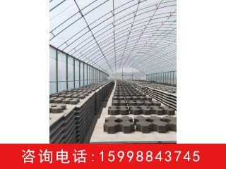 植草磚  廠家 批發  遼寧沈陽
