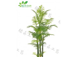 仿真七體散尾葵廠家直銷   沈陽仿真植物生產(chǎn)廠家