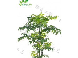 仿真五桿小桿魚尾葵廠家直銷   沈陽仿真植物生產(chǎn)廠家