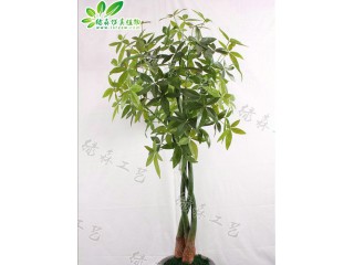 仿真辮子發(fā)財(cái)樹(shù)廠家直銷    沈陽(yáng)仿真植物生產(chǎn)廠家
