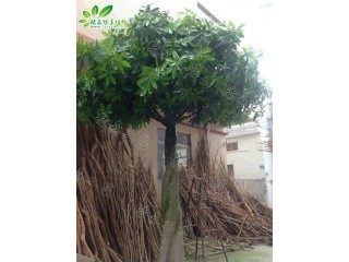 仿真大辮子發(fā)財(cái)樹(shù)  廠家直銷    沈陽(yáng)仿真植物生產(chǎn)廠家