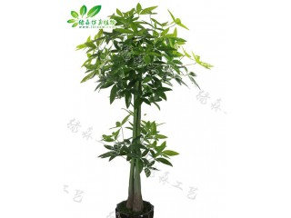 仿真兩層發(fā)財(cái)樹(shù)  廠家直銷    沈陽(yáng)仿真植物生產(chǎn)廠家