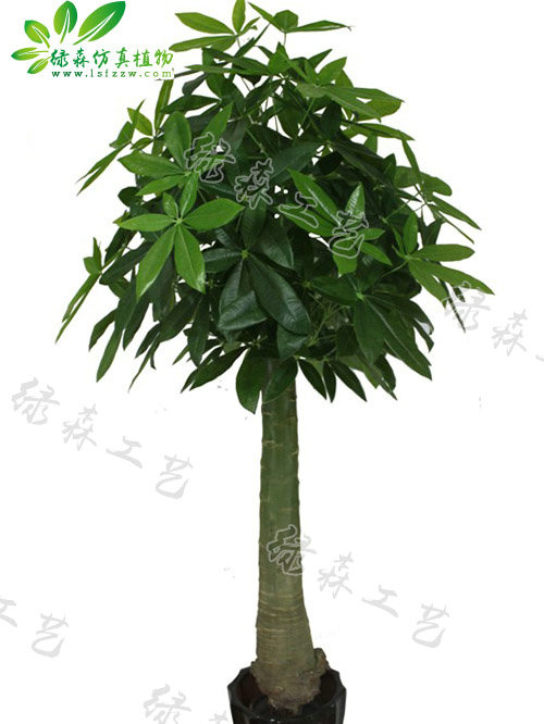 仿真木瓜桿發(fā)財(cái)樹(shù)