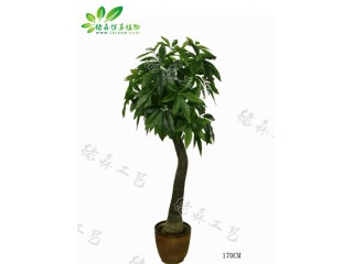 仿真彎桿發(fā)財(cái)樹(shù)   廠家直銷    沈陽(yáng)仿真植物生產(chǎn)廠家