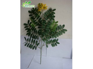 仿真槐花葉   廠家直銷    沈陽(yáng)仿真植物生產(chǎn)廠家