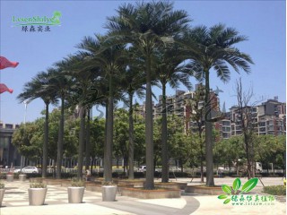 仿真大王椰  廠家直銷  沈陽仿真植物生產廠家
