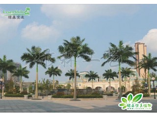 仿真大王椰廠家直銷   沈陽仿真植物生產廠家