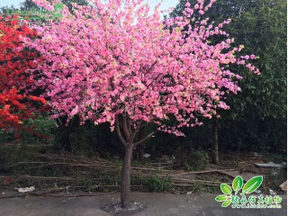 仿真桃花樹   廠家直銷   沈陽仿真植物生產廠家