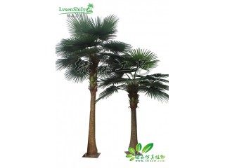 仿真蒲葵樹組合   廠家直銷   沈陽仿真植物生產廠家