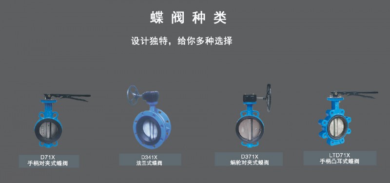 電動焊接蝶閥06
