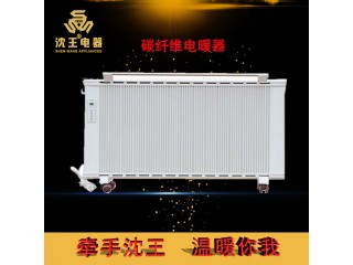 廠家直銷 碳纖維電暖器 可定制多規(guī)格電熱風(fēng)幕機批發(fā)