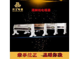 廠家直銷 踢腳線式電暖器 可定制多規(guī)格電熱風(fēng)幕機(jī)批發(fā)