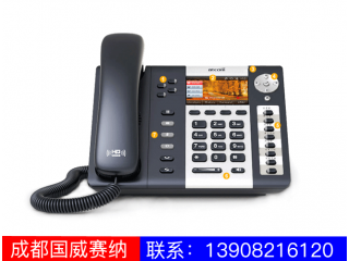 管理級IP電話機