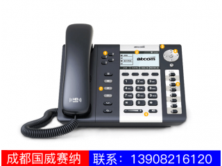 管理級IP電話機-A41