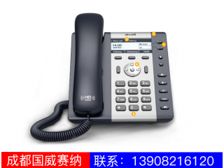 入門級IP電話機-A10A11