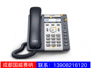 入門級IP電話機-A21