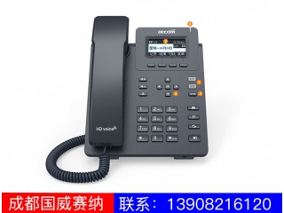 入門級IP電話機-D20D21