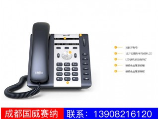 入門級IP電話機-A16