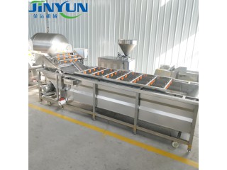 蔬菜清洗流機，金運機械廠家直銷
