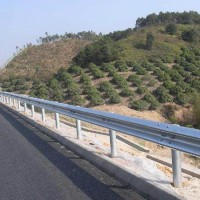 江西吉安峽江縣波形梁護(hù)欄板廠家批量?jī)r(jià)格