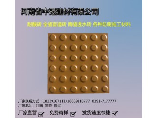 盲道磚 全瓷盲道磚價格 江蘇質(zhì)優(yōu)盲道磚廠家L