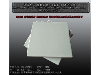 福建耐酸磚 福建南平耐酸堿性能強(qiáng)的耐酸磚L