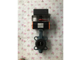 德國EBRO手動(dòng)蝶閥Z011-A DN125+手柄