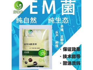 制作發酵床養蛇每平米需要多少生物菌