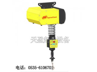 上海智能電動(dòng)葫蘆哪里不錯(cuò),EIW016120智能電動(dòng)葫蘆