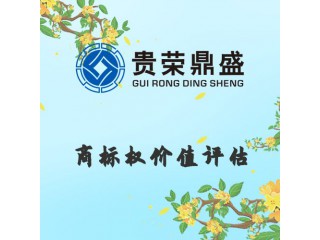 浙江省寧波市商標(biāo)權(quán)價值評估資產(chǎn)評估今日更新