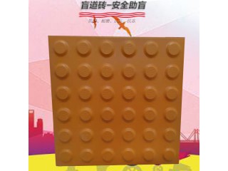 重慶高鐵/火車站/地鐵站鋪設全瓷盲道磚類型 8