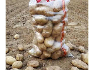 圓蔥白菜編甘藍大蒜編織袋河北生產(chǎn)廠家